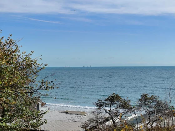 Смартфон Honor Magic 8 Lite: 3 дня от батареи | DGL.RU