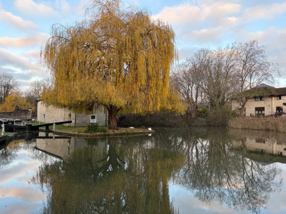 Смартфон iPhone 17 &mdash; лучший базовый от Apple | DGL.RU