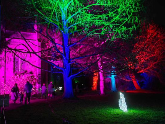 Смартфон OnePlus 15R: топ-производительность | DGL.RU