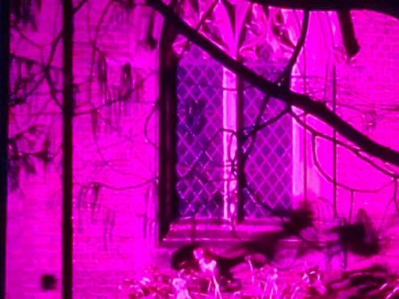 Смартфон OnePlus 15R: топ-производительность | DGL.RU