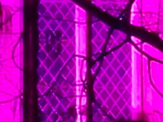 Смартфон OnePlus 15R: топ-производительность | DGL.RU