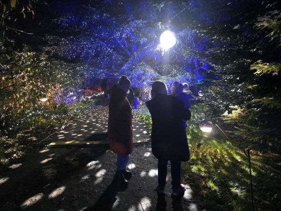 Смартфон OnePlus 15R: топ-производительность | DGL.RU