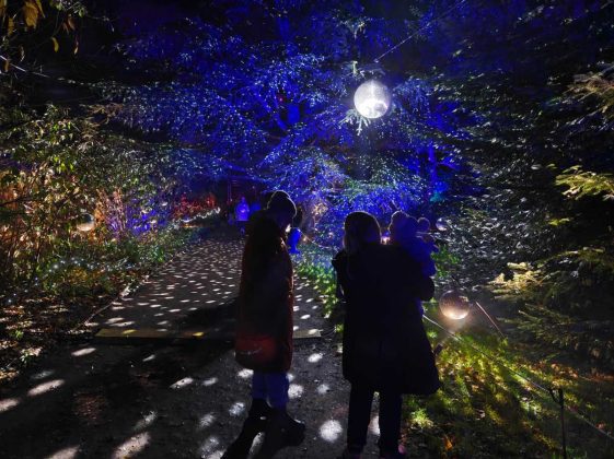 Смартфон OnePlus 15R: топ-производительность | DGL.RU