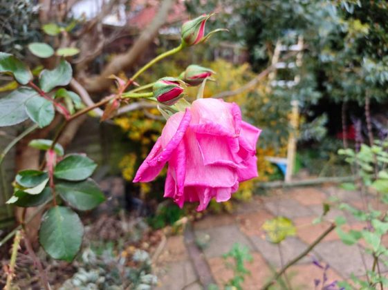 Смартфон Poco F8 Pro: флагманская мощь | DGL.RU