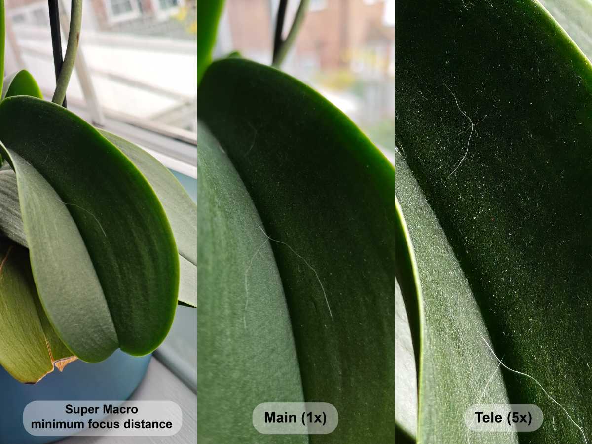 Обзор Poco F8 Pro: флагманские характеристики без заоблачных цен картинка Смартфон Poco F8 Pro: флагманская мощь | DGL.RU