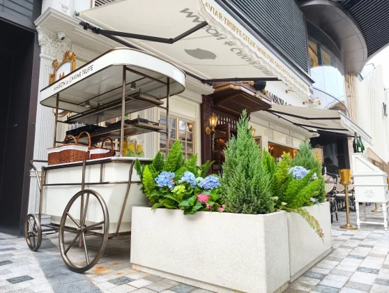 Смартфон Vivo X300: компактный новый флагман