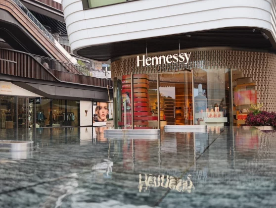 Смартфон Vivo X300: компактный новый флагман