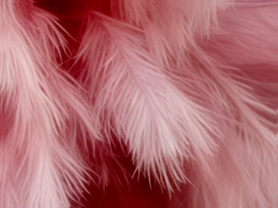 Смартфон Vivo X300: компактный новый флагман