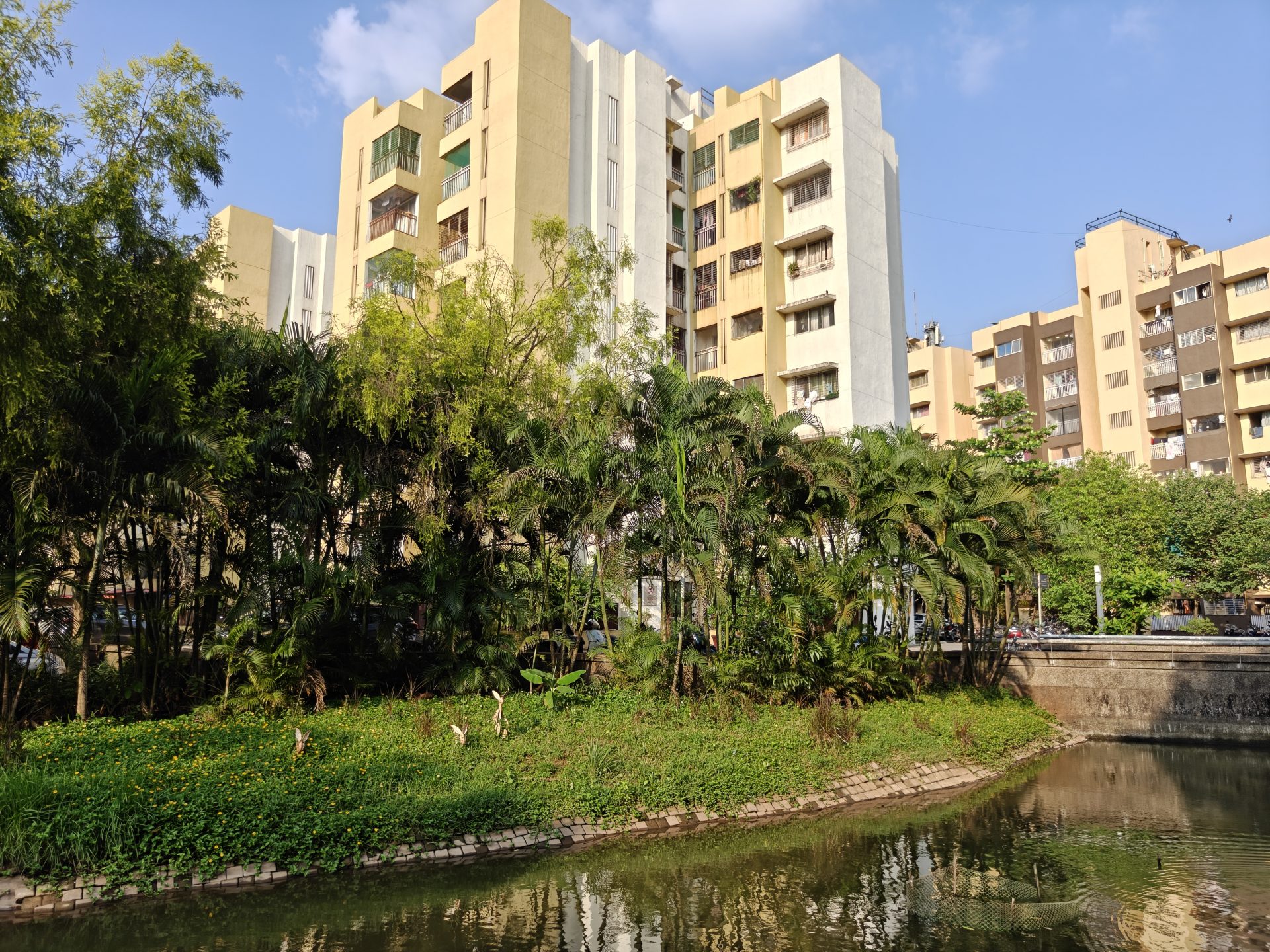 OnePlus 15 против OnePlus 13: какой из смартфонов выбрать картинка Смартфоны OnePlus 15 и OnePlus 13 | DGL.RU