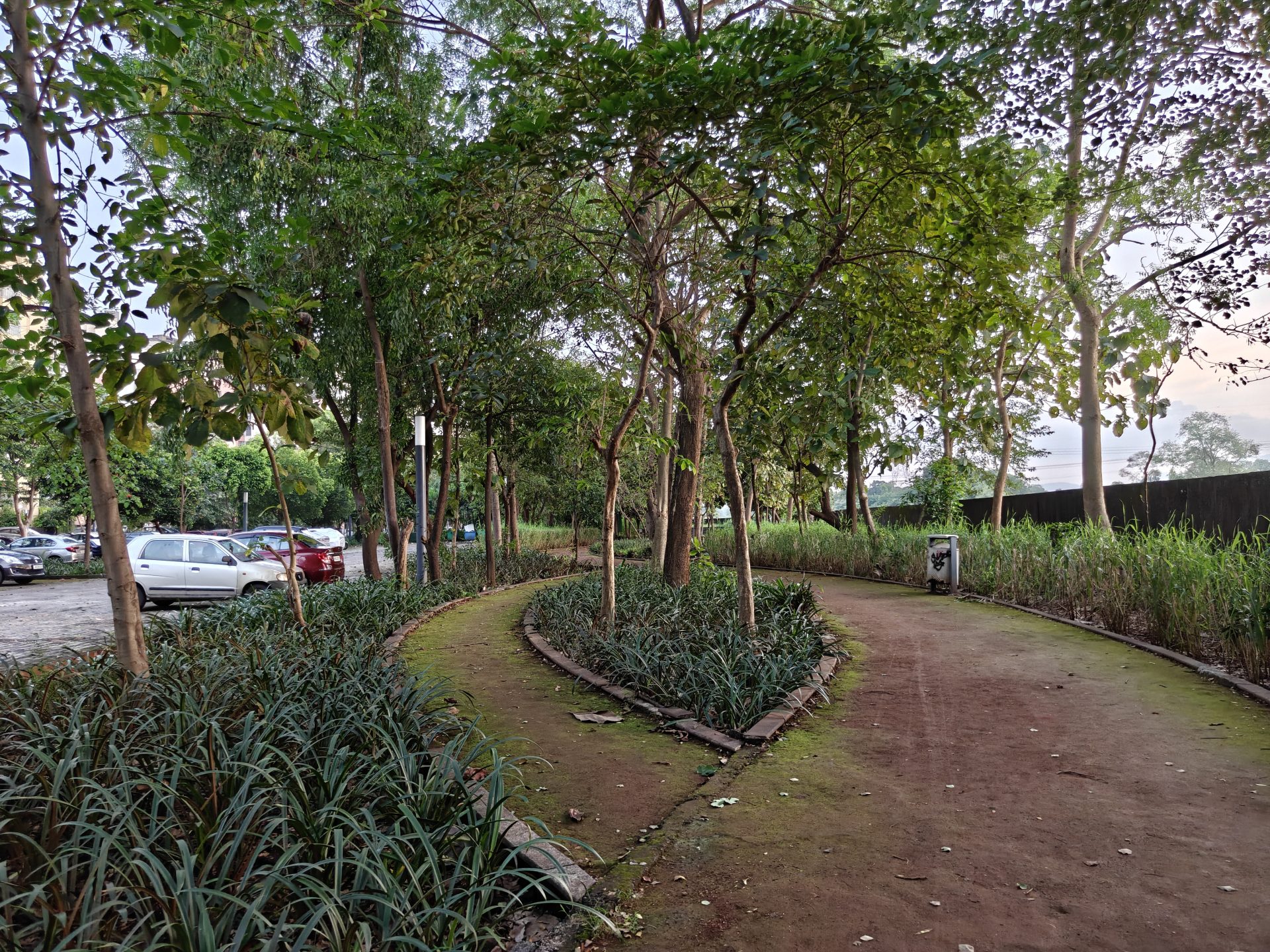 OnePlus 15 против OnePlus 13: какой из смартфонов выбрать картинка Смартфоны OnePlus 15 и OnePlus 13 | DGL.RU