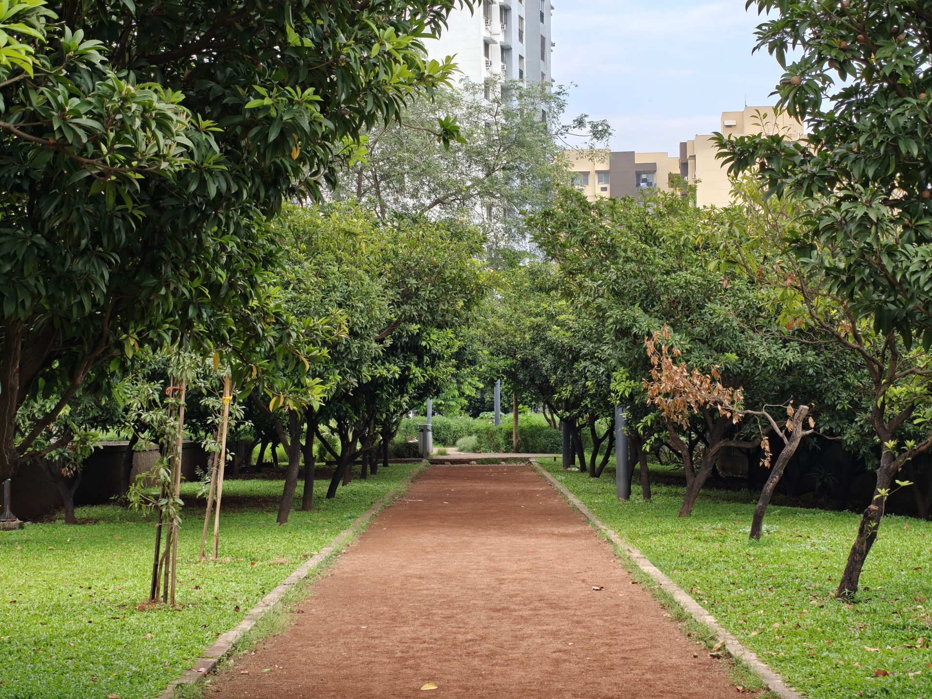 OnePlus 15 против OnePlus 13: какой из смартфонов выбрать картинка Смартфоны OnePlus 15 и OnePlus 13 | DGL.RU