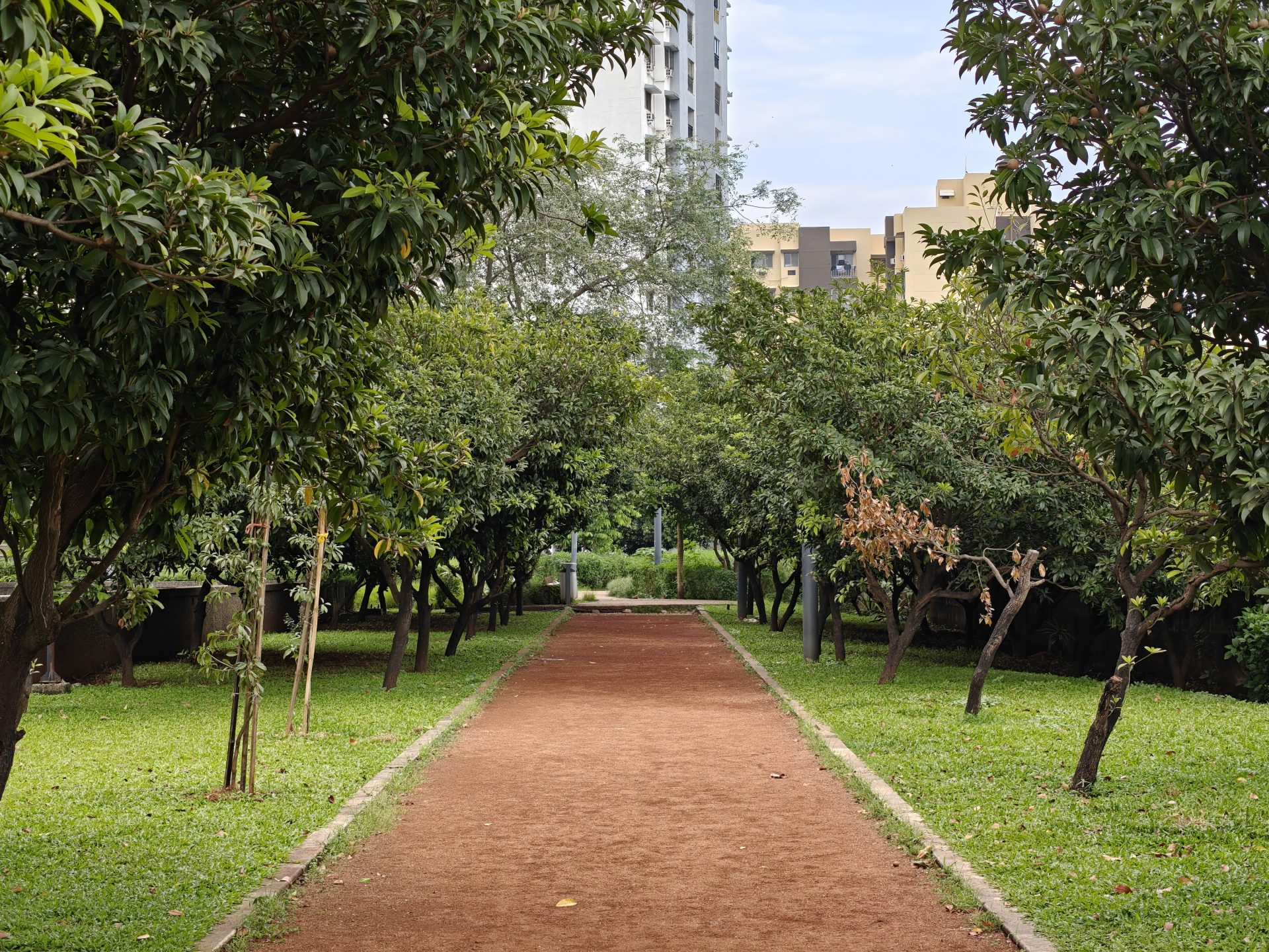 OnePlus 15 против OnePlus 13: какой из смартфонов выбрать картинка OnePlus 15 против OnePlus 13: какой из смартфонов выбрать фото