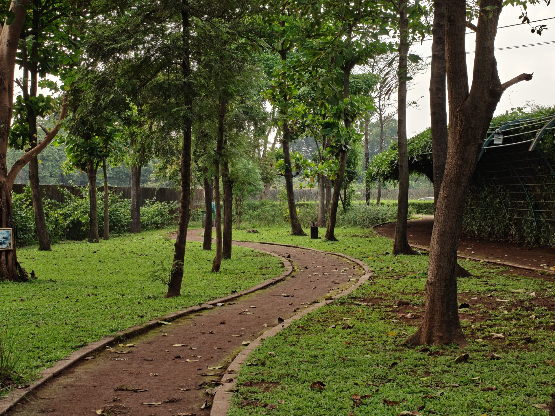 OnePlus 15 против OnePlus 13: какой из смартфонов выбрать картинка Смартфоны OnePlus 15 и OnePlus 13 | DGL.RU