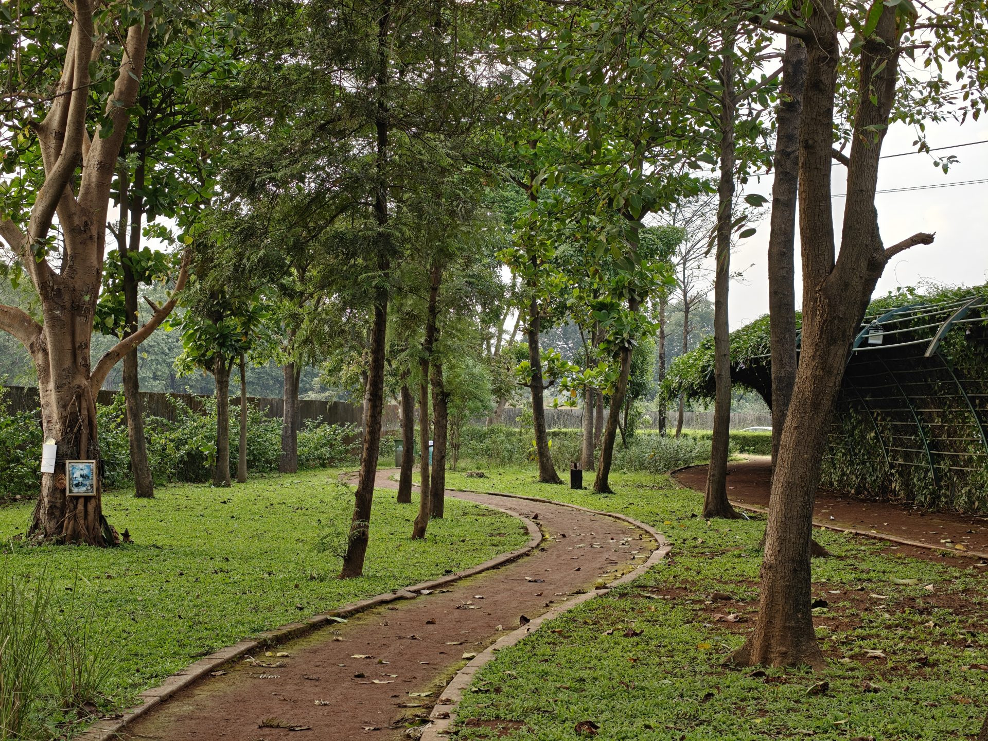 OnePlus 15 против OnePlus 13: какой из смартфонов выбрать картинка Смартфоны OnePlus 15 и OnePlus 13 | DGL.RU