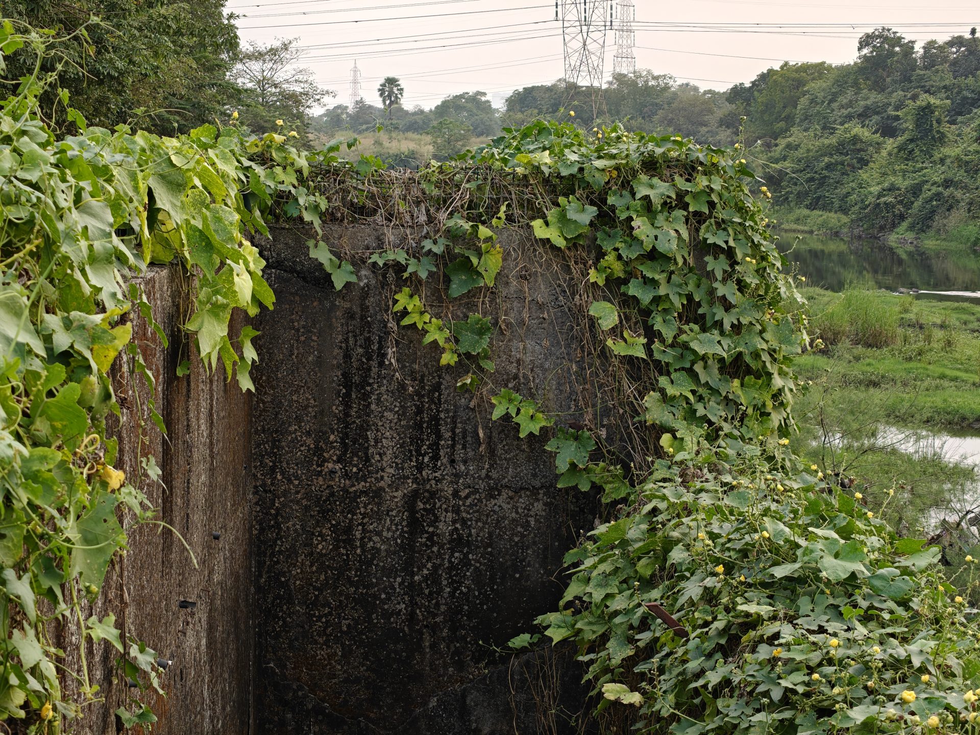 OnePlus 15 против OnePlus 13: какой из смартфонов выбрать картинка Смартфоны OnePlus 15 и OnePlus 13 | DGL.RU