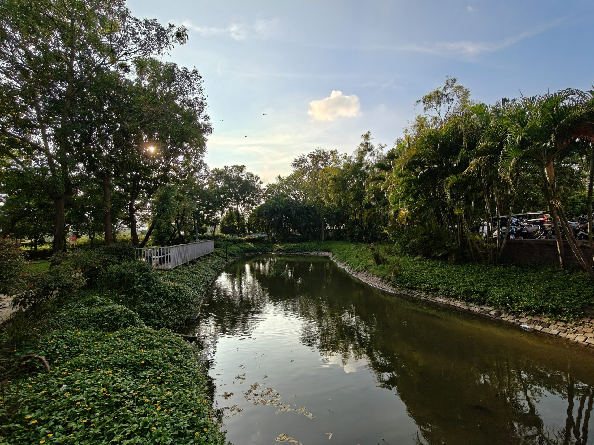 OnePlus 15 против OnePlus 13: какой из смартфонов выбрать картинка Смартфоны OnePlus 15 и OnePlus 13 | DGL.RU