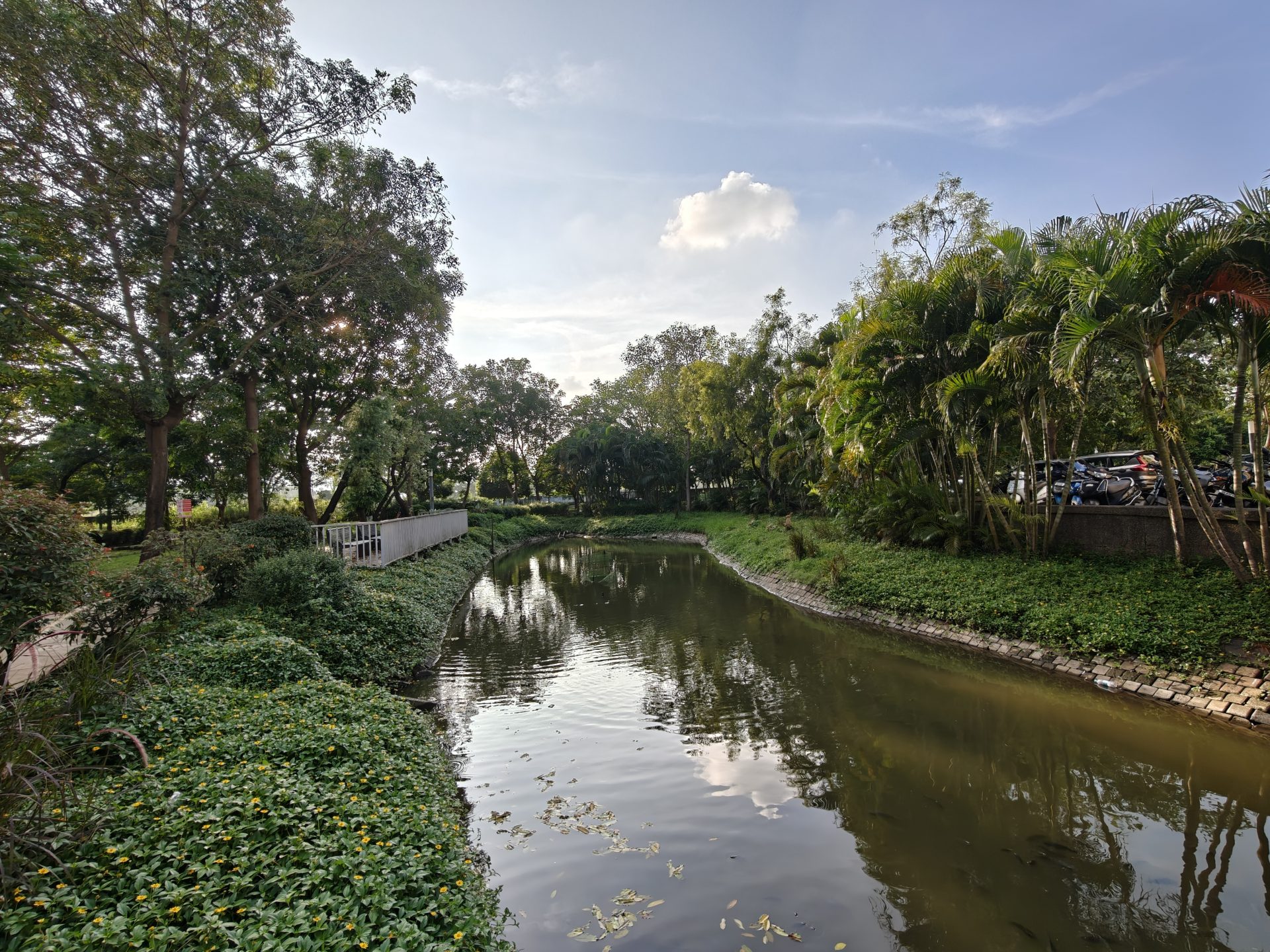 OnePlus 15 против OnePlus 13: какой из смартфонов выбрать картинка Смартфоны OnePlus 15 и OnePlus 13 | DGL.RU