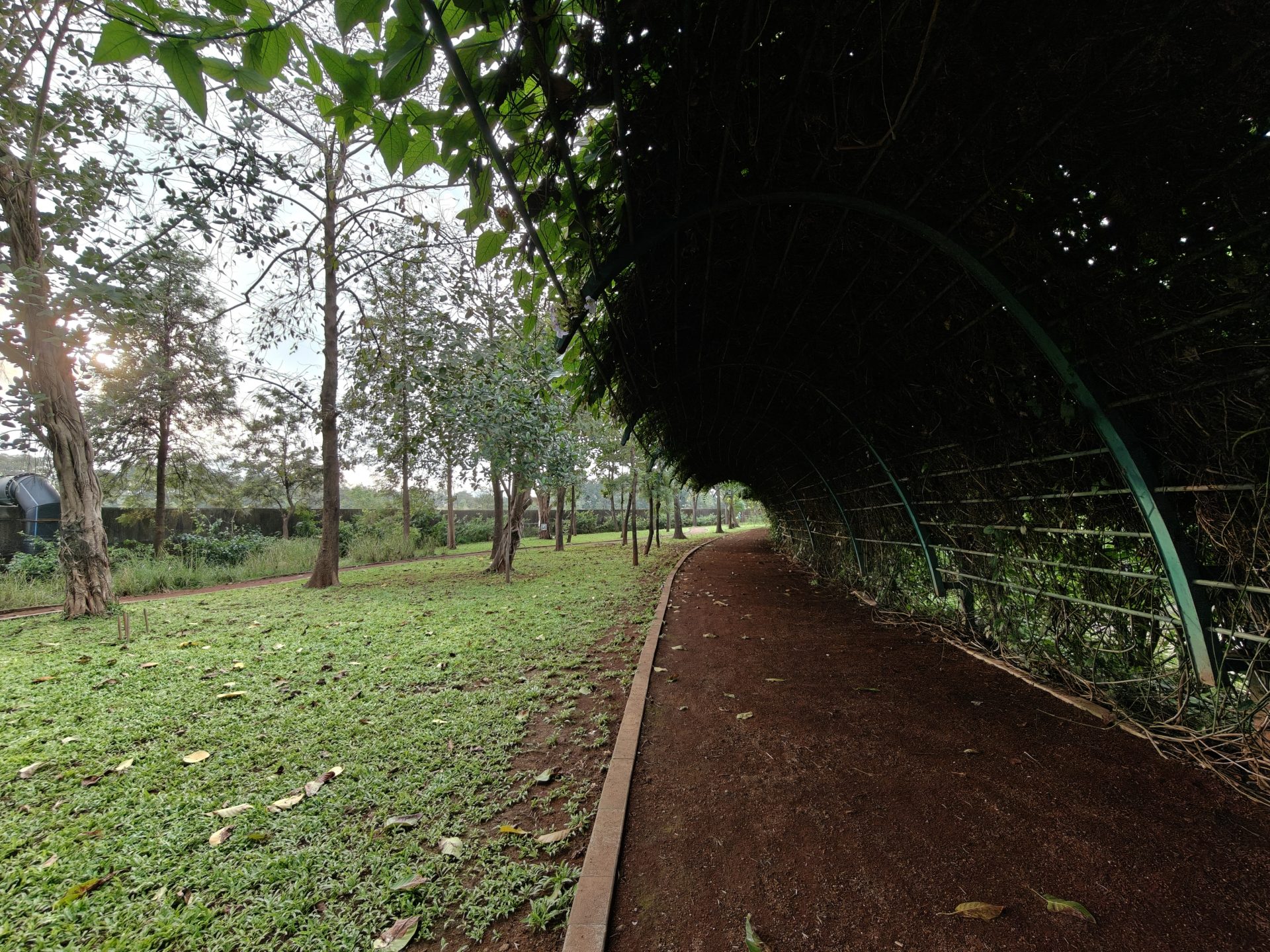 OnePlus 15 против OnePlus 13: какой из смартфонов выбрать картинка Смартфоны OnePlus 15 и OnePlus 13 | DGL.RU