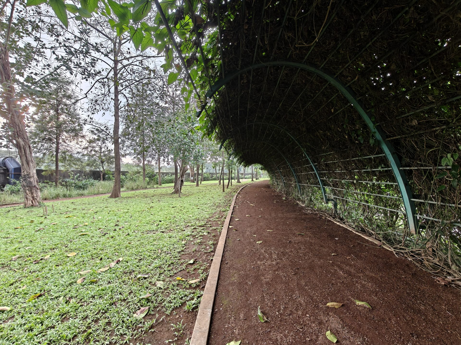 OnePlus 15 против OnePlus 13: какой из смартфонов выбрать картинка Смартфоны OnePlus 15 и OnePlus 13 | DGL.RU