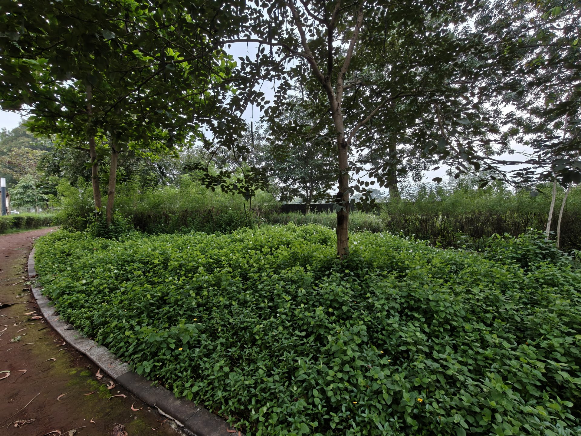 OnePlus 15 против OnePlus 13: какой из смартфонов выбрать картинка Смартфоны OnePlus 15 и OnePlus 13 | DGL.RU