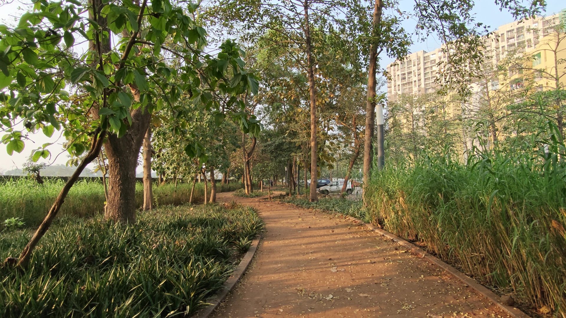 OnePlus 15 против OnePlus 13: какой из смартфонов выбрать картинка Смартфоны OnePlus 15 и OnePlus 13 | DGL.RU