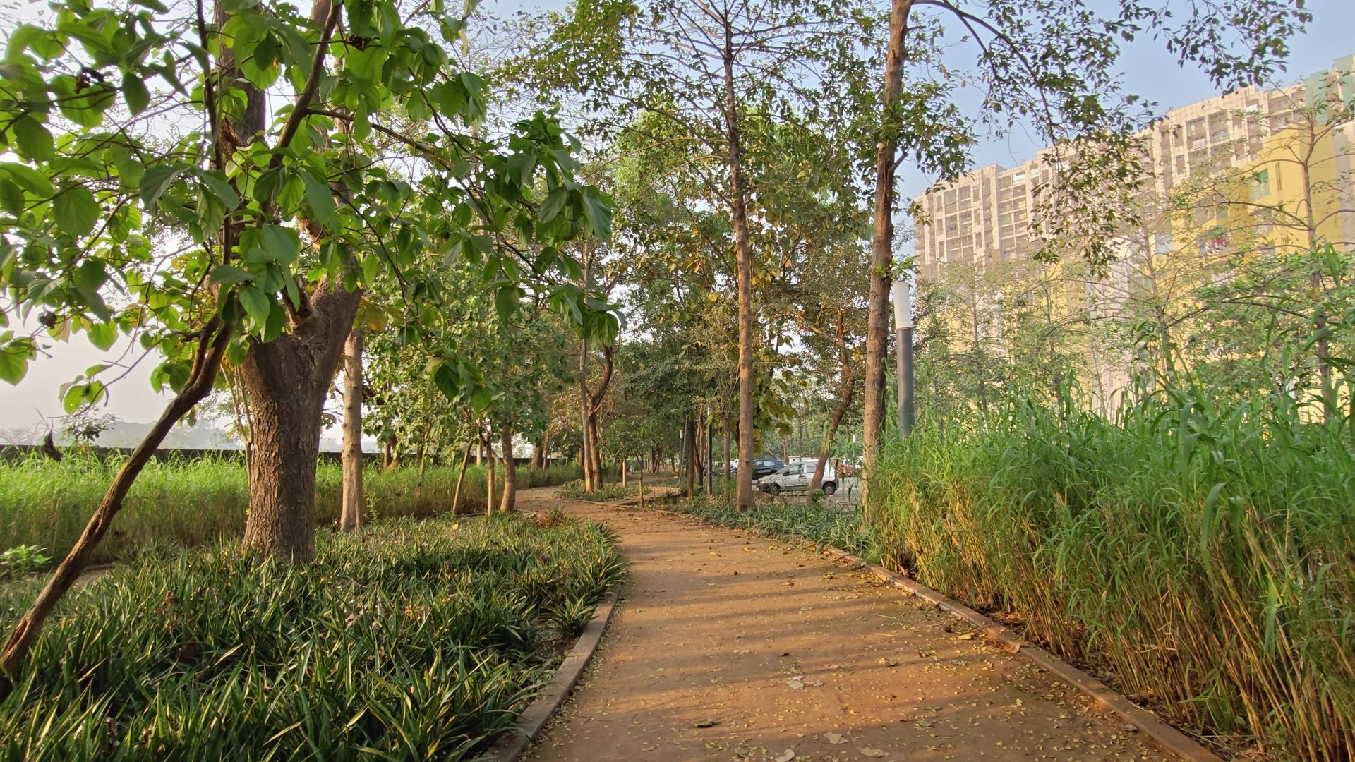 OnePlus 15 против OnePlus 13: какой из смартфонов выбрать картинка Смартфоны OnePlus 15 и OnePlus 13 | DGL.RU