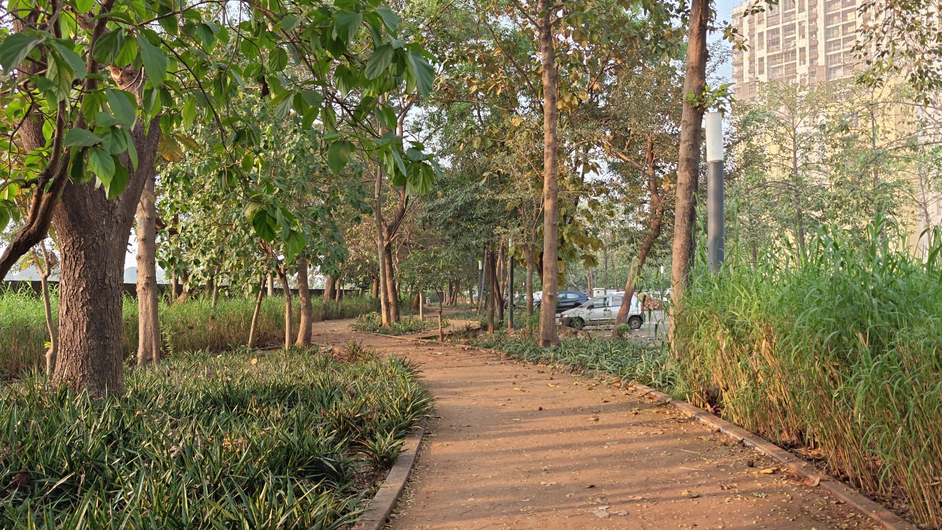 OnePlus 15 против OnePlus 13: какой из смартфонов выбрать картинка Смартфоны OnePlus 15 и OnePlus 13 | DGL.RU