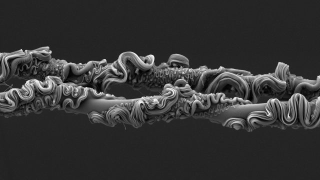 Снимок «Завораживающие нити паука» — №1 RPS | DGL.RU