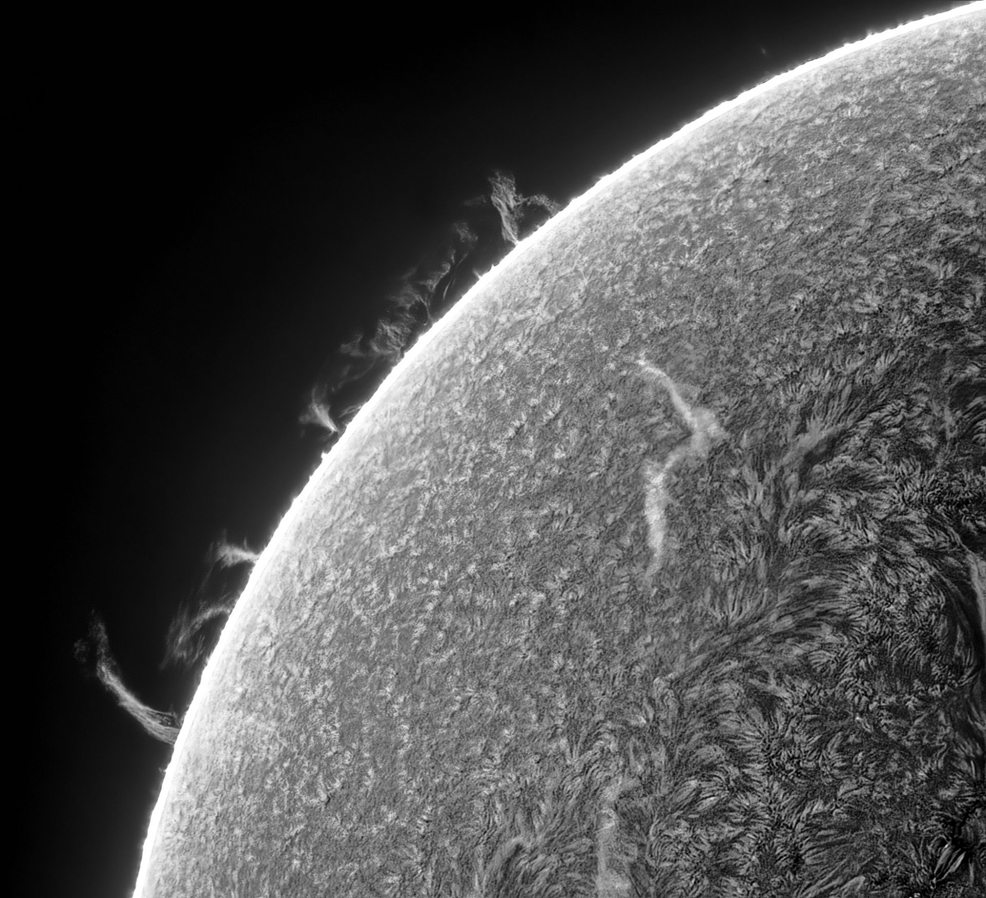 Снимок «Завораживающие нити паука» — №1 RPS | DGL.RU