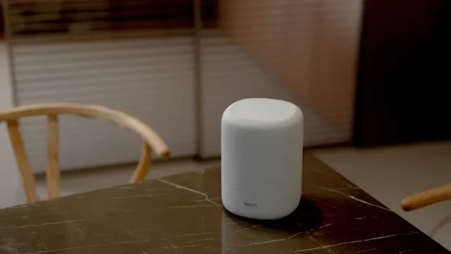 WiiM Sound Lite WiiM Sound Lite