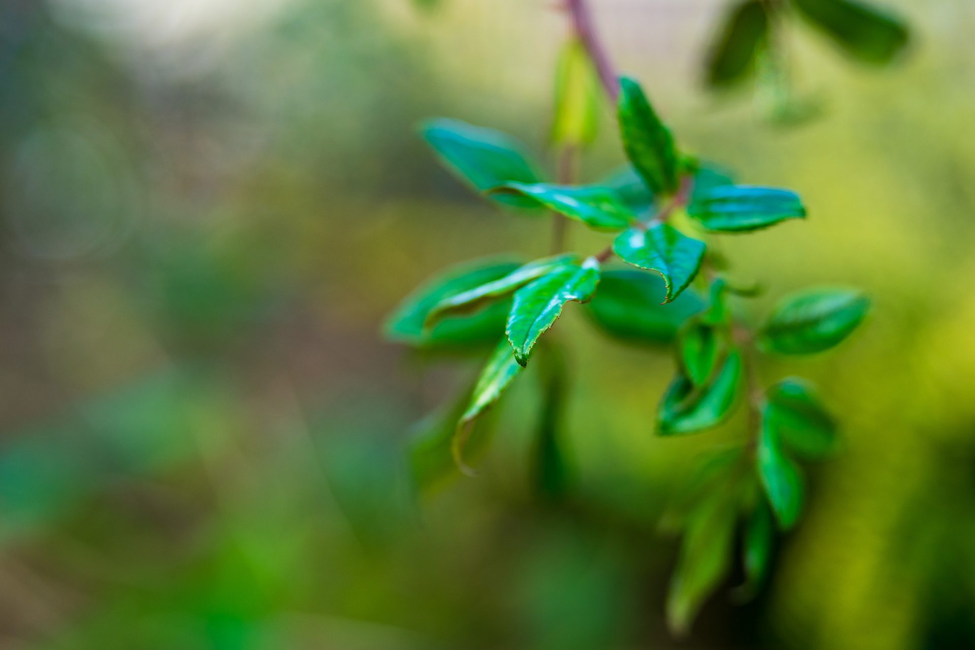 Tamron 70-180mm F2.8 G2: телеобъектив с VC | DGL.RU