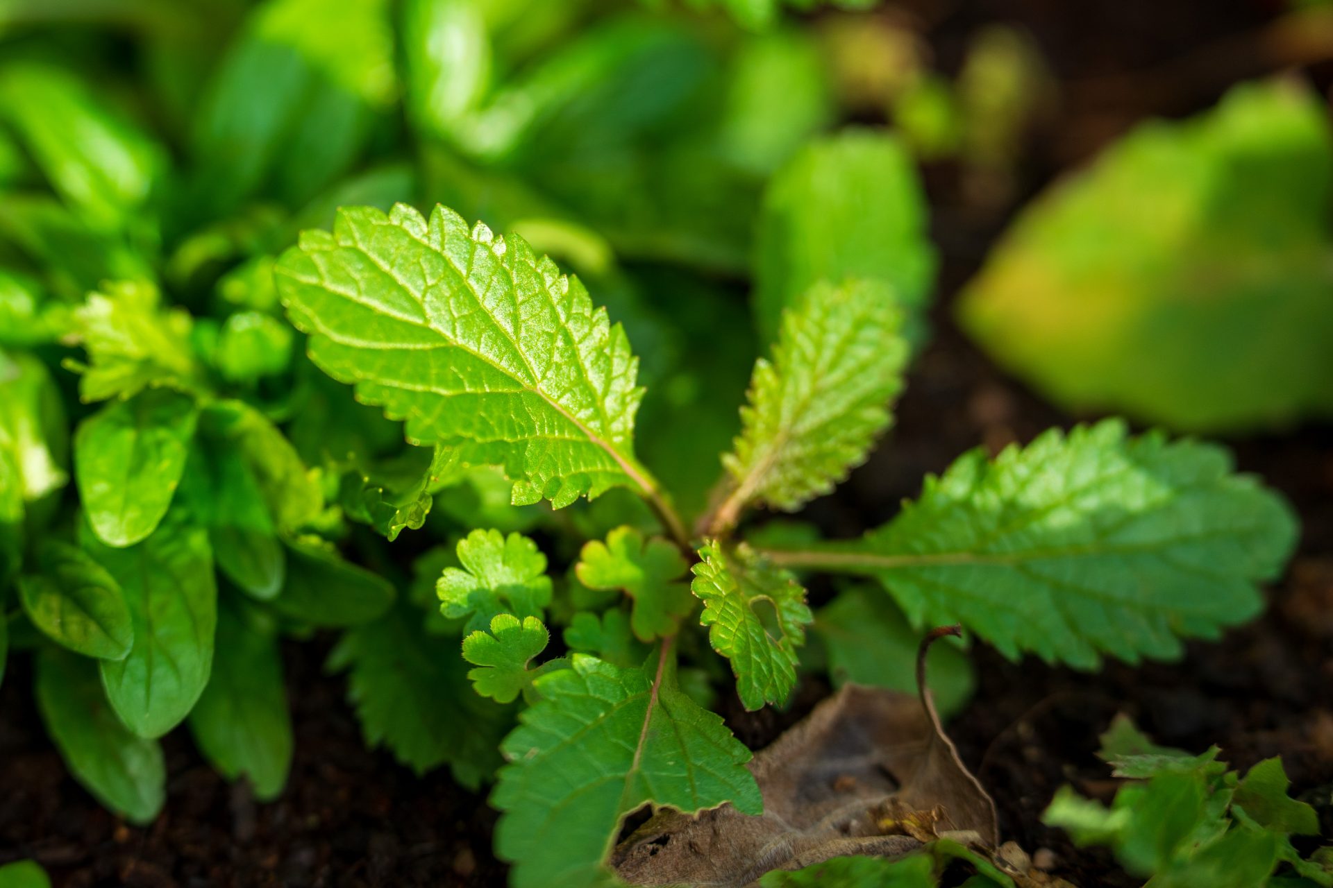 Tamron 70-180mm F2.8 G2: телеобъектив с VC | DGL.RU