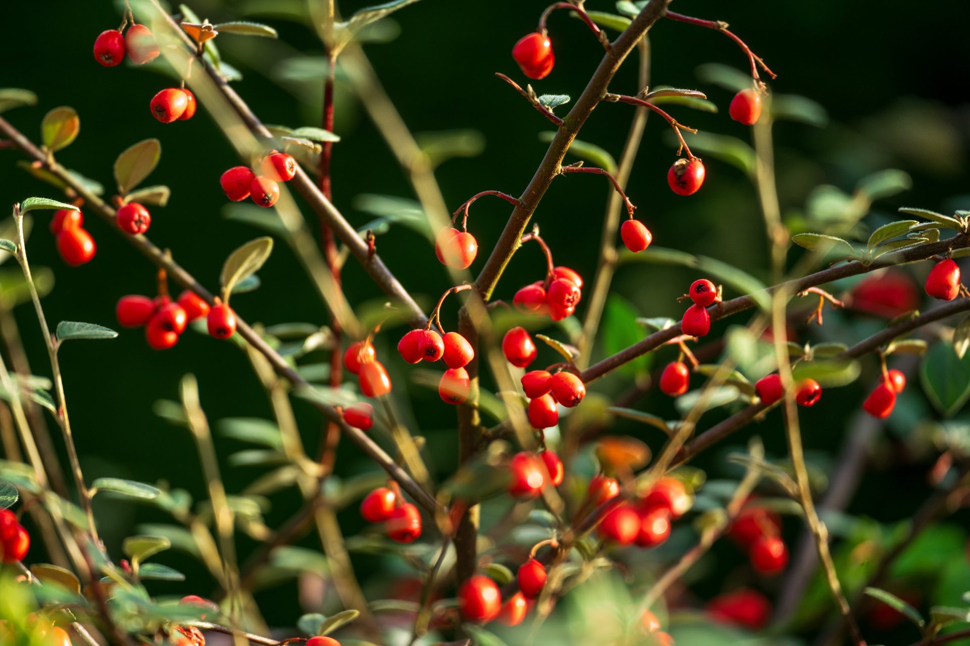 Tamron 70-180mm F2.8 G2: телеобъектив с VC | DGL.RU