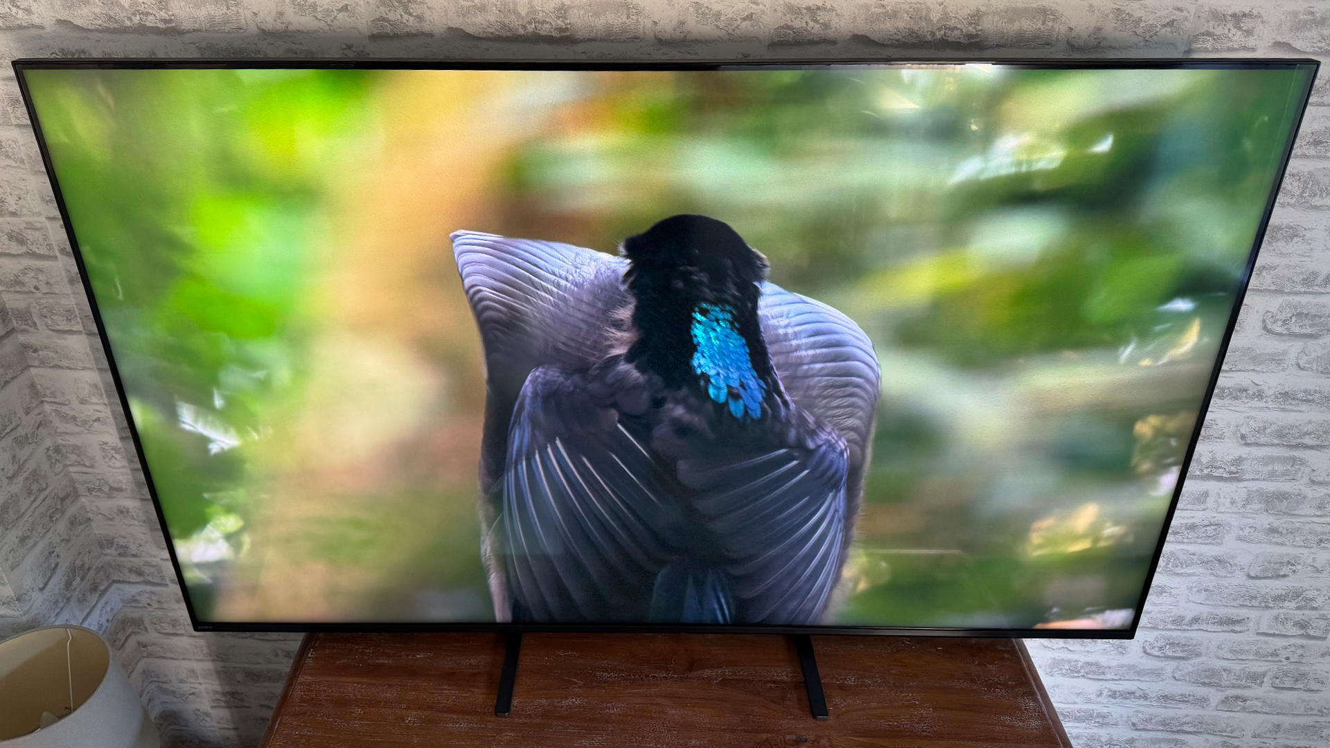 Телевизор Sony Bravia 5 — лучший Mini LED | DGL.RU