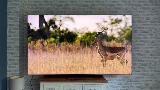 Телевизор TCL C8K - яркость нового уровня | DGL.RU1 Телевизор TCL C8K - яркость нового уровня | DGL.RU
