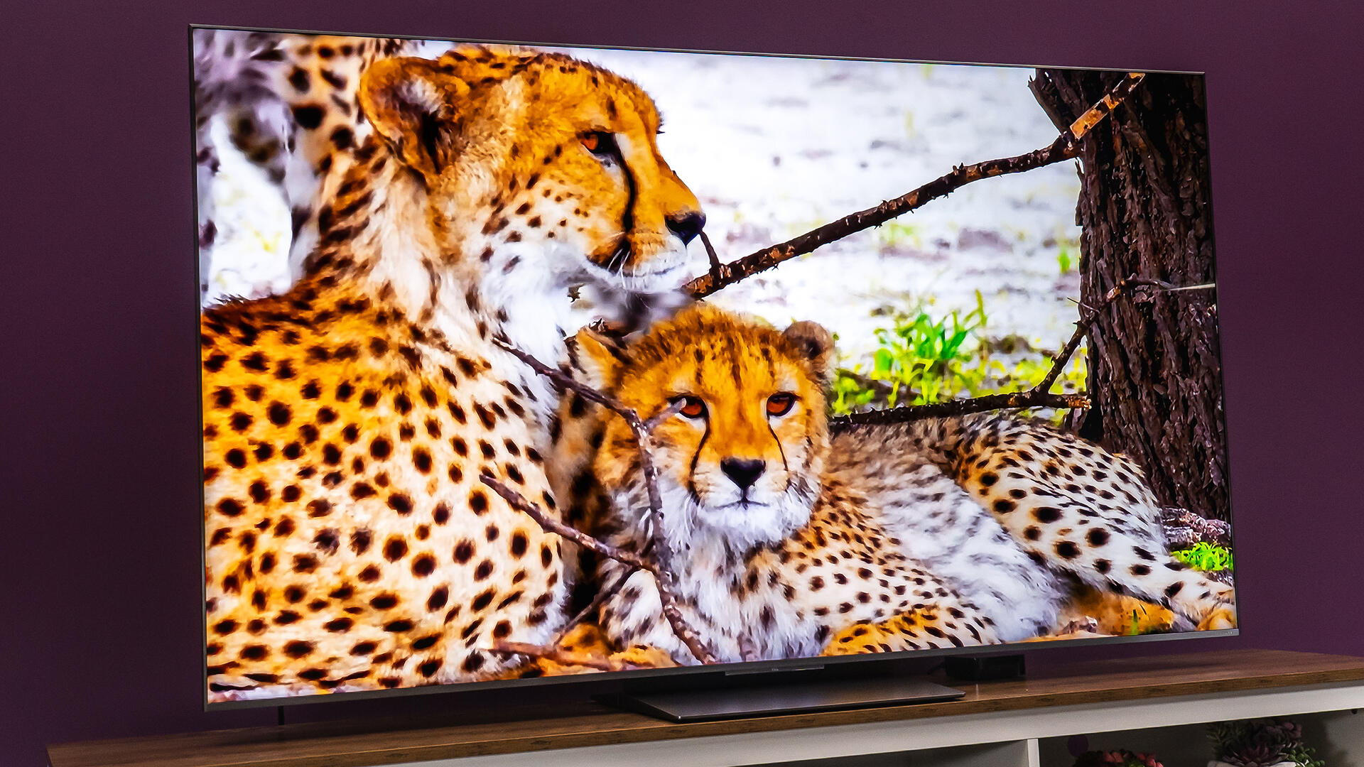 Телевизор TCL QM8K 65" 2025: яркий HDR | DGL.RU