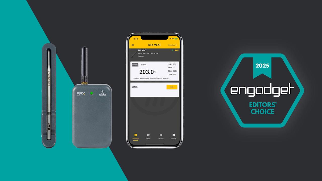 Термометр ThermoWorks RFX: эталон для барбекю | DGL.RU