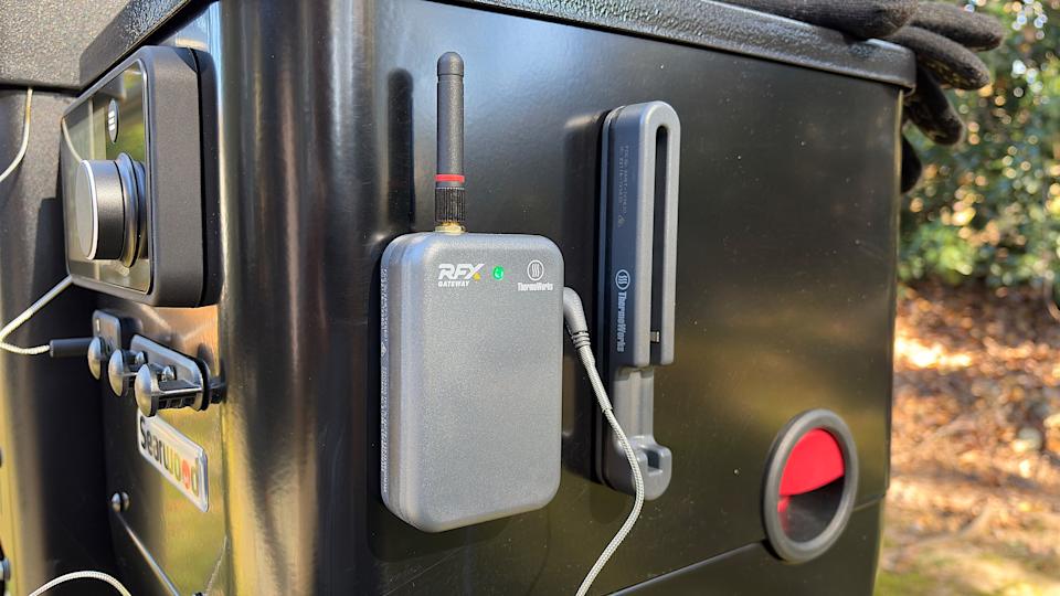 Термометр ThermoWorks RFX: эталон для барбекю | DGL.RU