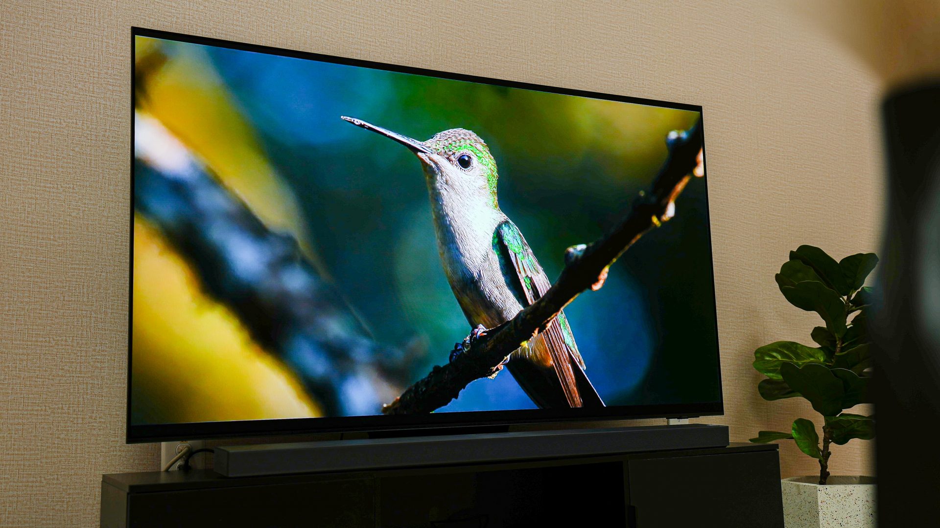 ТВ Samsung 2025 года: OLED, QLED и бюджет | DGL.RU