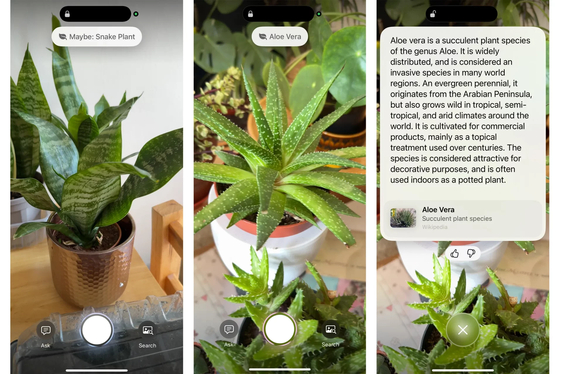 iPhone: 12 фишек, о которых вы не знали | DGL.RU