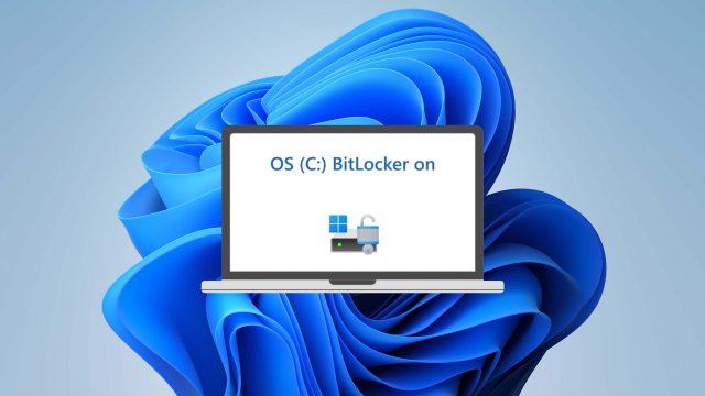 Аппаратный BitLocker в Windows 11: как работает? | DGL.RU