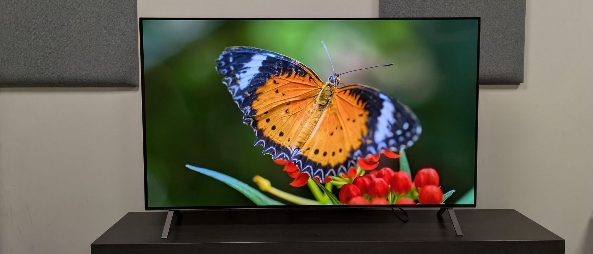Обзор LG B5: доступный OLED-телевизор с отличным экраном