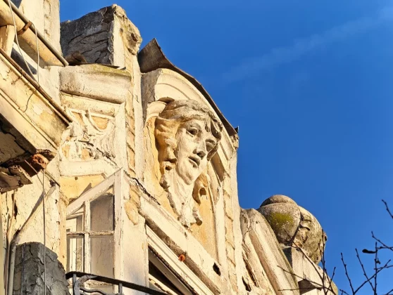 Honor Magic 8 Pro и Samsung Galaxy S25 Ultra