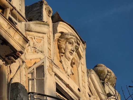 Honor Magic 8 Pro и Samsung Galaxy S25 Ultra