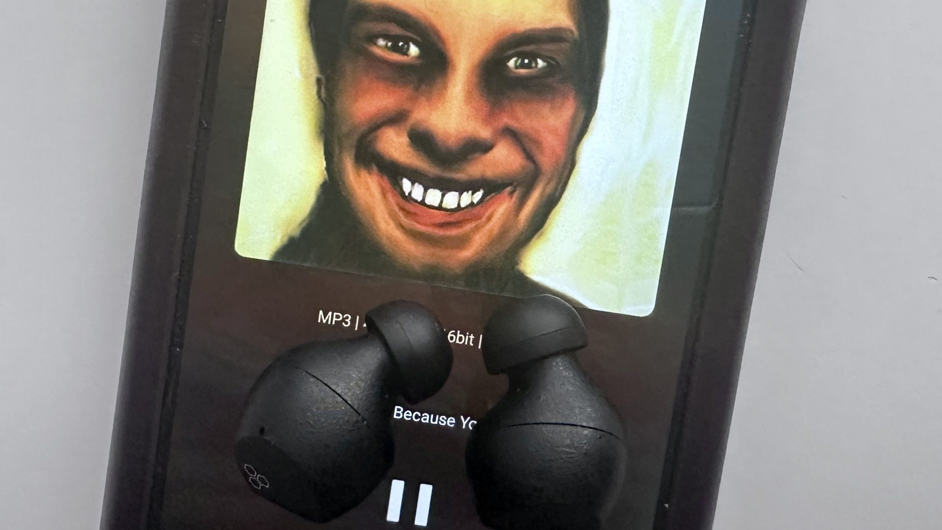 Обзор Final Audio ZE3000 SV — наушники с ровным звуком картинка Final Audio ZE3000 SV