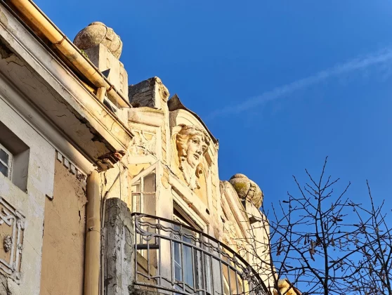 Honor Magic 8 Pro и Samsung Galaxy S25 Ultra