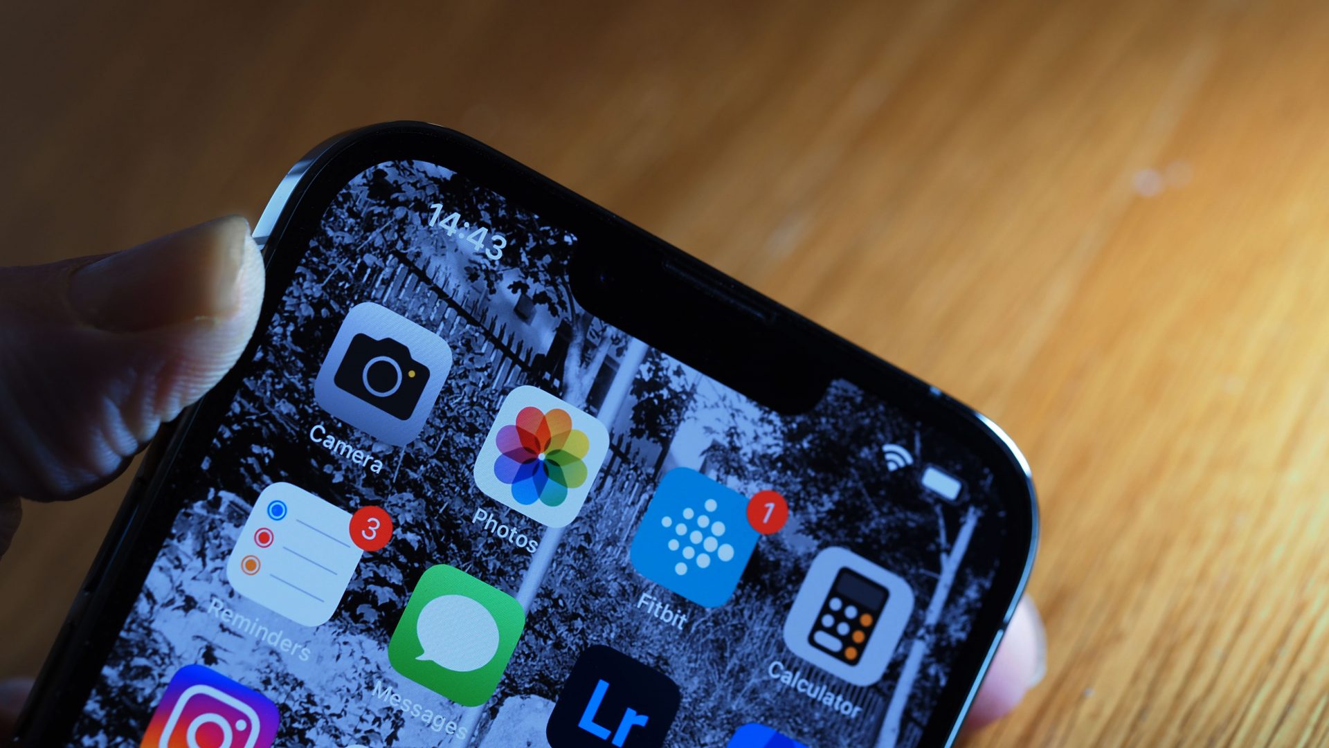 Apple iPhone 13 Pro Max