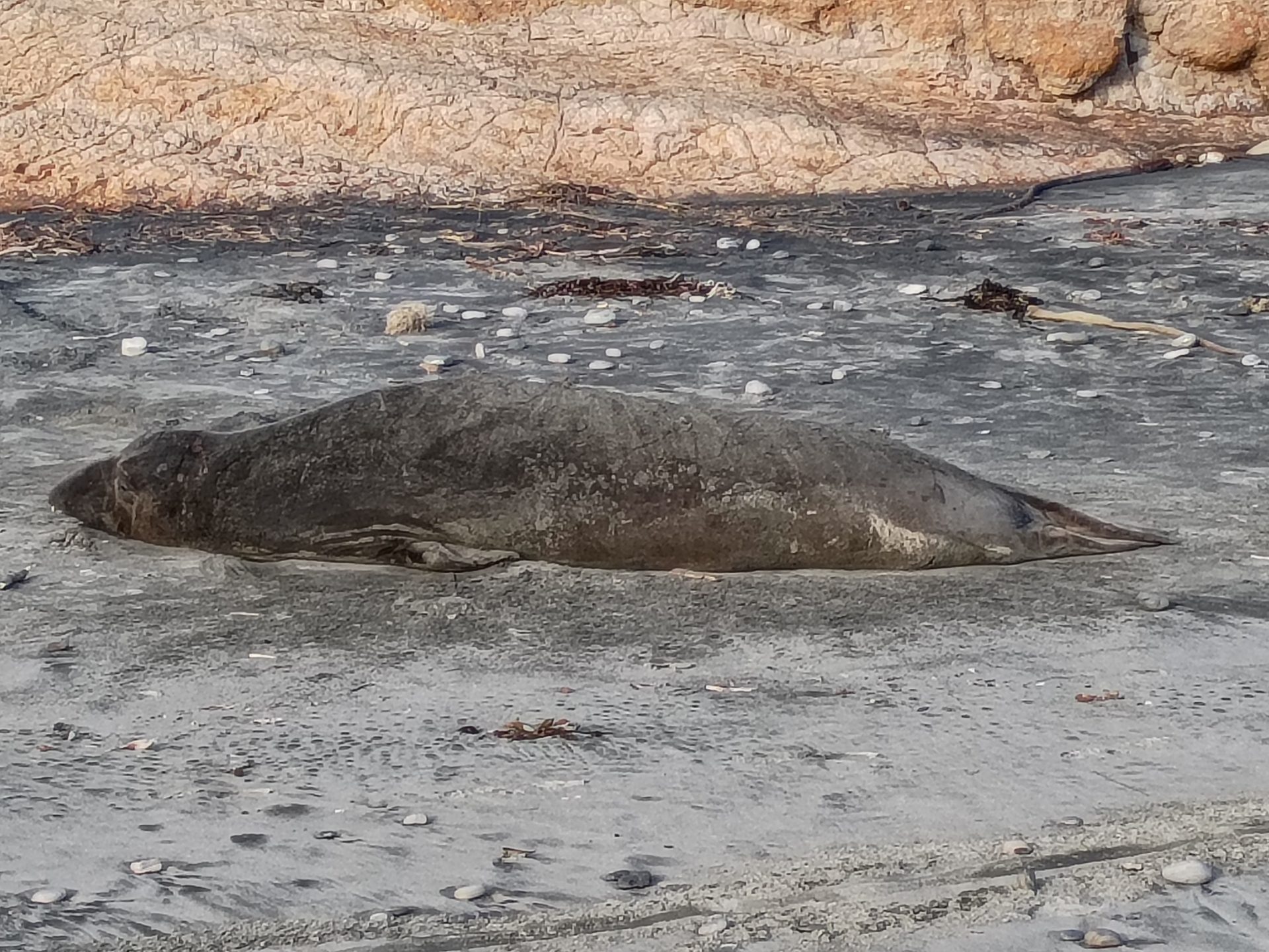 Motorola Moto G Power (2026)