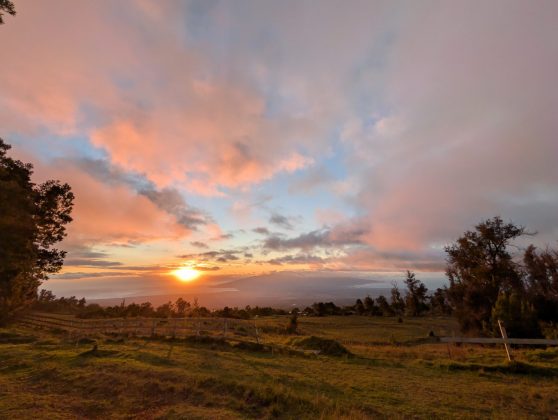 Google Pixel 10 Pro XL