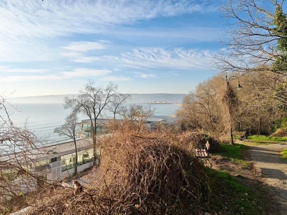 Honor Magic 8 Pro и Samsung Galaxy S25 Ultra